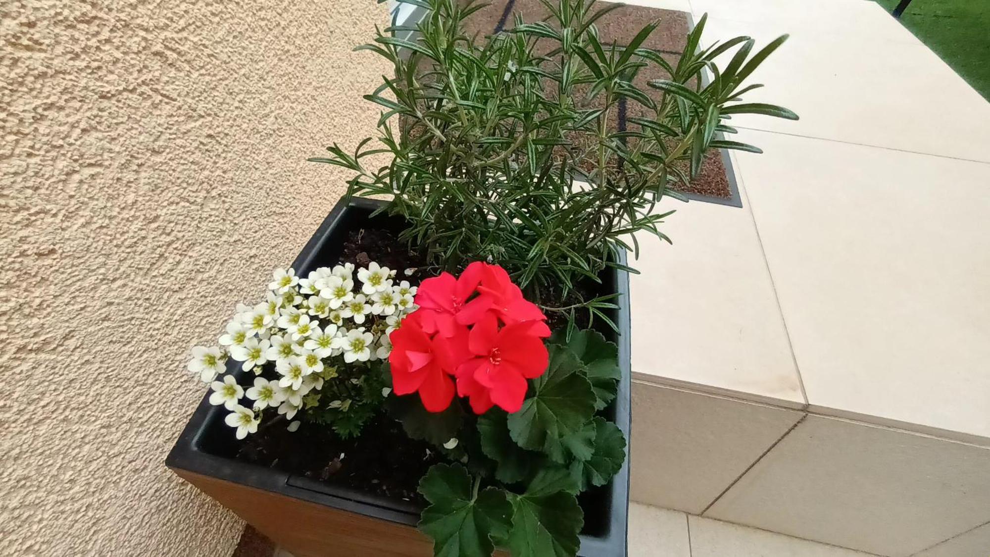 Apartman Sandra -Private Parking And Garden Zadar Eksteriør billede