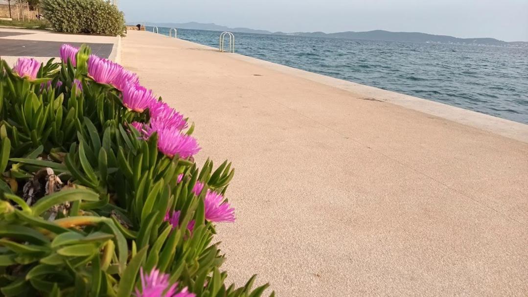 Apartman Sandra -Private Parking And Garden Zadar Eksteriør billede
