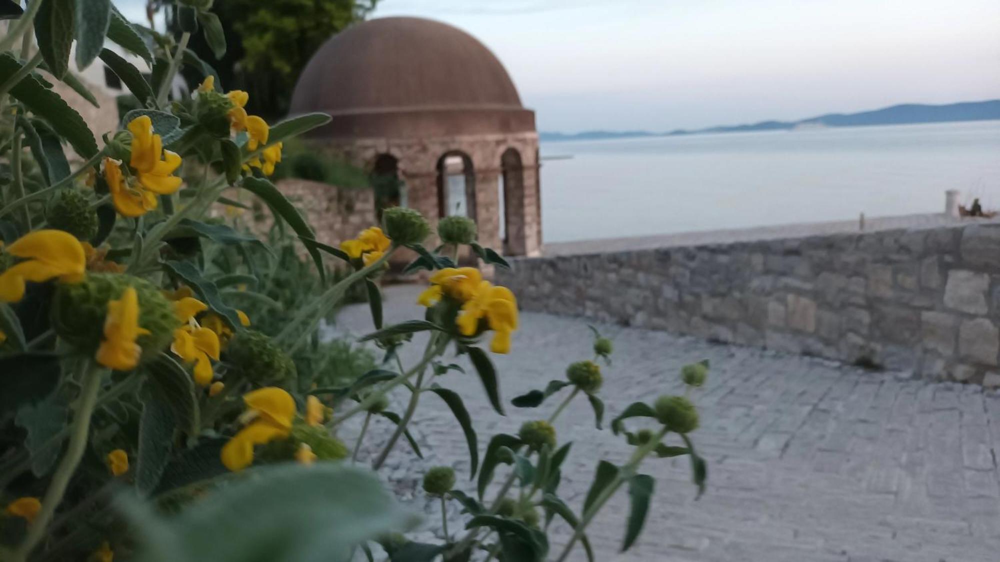 Apartman Sandra -Private Parking And Garden Zadar Eksteriør billede