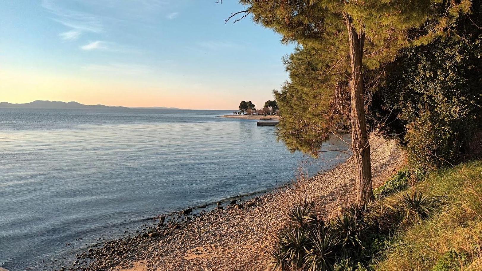Apartman Sandra -Private Parking And Garden Zadar Eksteriør billede